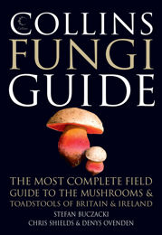 Collins Fungi Guide - 25 Oct 2012