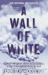 A Wall of White - 17 Feb 2009