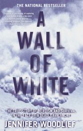A Wall of White - 17 Feb 2009