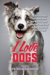 I Love Dogs - 6 May 2025