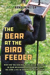 The Bear at the Bird Feeder - 4 Nov 2025