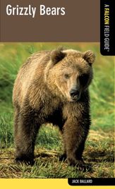 Grizzly Bears - 3 Apr 2012