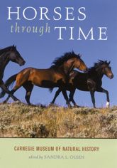 Horses through Time - 10 Oct 2003