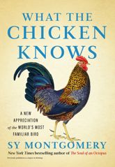 What the Chicken Knows - 5 Nov 2024