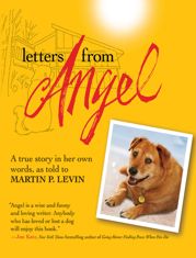 Letters from Angel - 1 Nov 2011