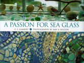 A Passion for Sea Glass - 30 Jul 2008