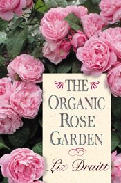 The Organic Rose Garden - 29 Jan 2004