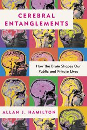 Cerebral Entanglements - 11 Feb 2025