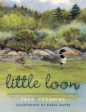 Little Loon - 7 Aug 2015