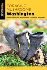 Foraging Mushrooms Washington - 1 Jun 2019