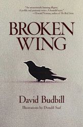 Broken Wing - 26 Mar 2019