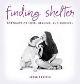 Finding Shelter - 1 Apr 2017