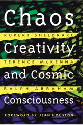 Chaos, Creativity, and Cosmic Consciousness - 1 Nov 2001