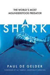 Shark - 21 Jul 2022