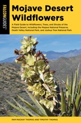 Mojave Desert Wildflowers - 3 Sep 2024