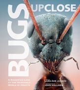 Bugs Up Close - 25 Nov 2014