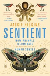 Sentient - 22 Feb 2022
