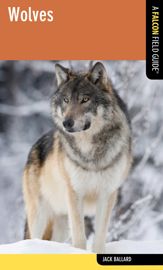 Wolves - 20 Nov 2012