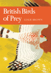 British Birds of Prey - 1 Aug 2013