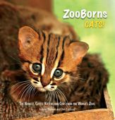 ZooBorns Cats! - 30 Jun 2015