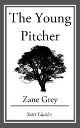 The Young Pitcher - 1 Jan 2014