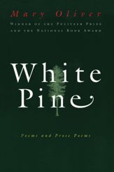 White Pine - 14 May 2024