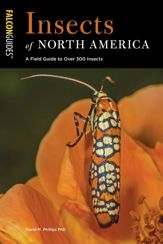 Insects of North America - 1 Apr 2019