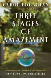 Three Stages of Amazement - 8 Mar 2011