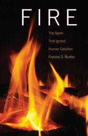 Fire - 29 Sep 2011