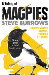 A Tiding of Magpies - 6 Sep 2018
