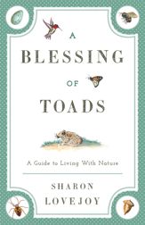 A Blessing of Toads - 10 Dec 2014