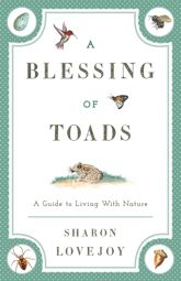 A Blessing of Toads - 10 Dec 2014