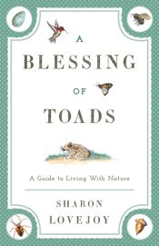A Blessing of Toads - 10 Dec 2014