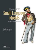 Domain-Specific Small Language Models - 9 Jun 2026