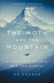 The Moth and the Mountain - 17 Nov 2020