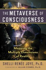 The Metaverse of Consciousness - 20 May 2025