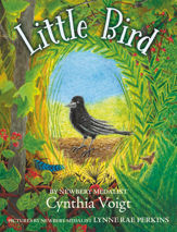 Little Bird - 15 Sep 2020