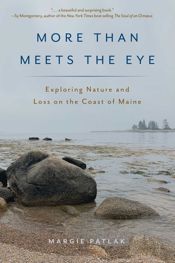 More Than Meets the Eye - 1 May 2021