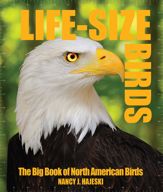 Life-Size Birds - 1 Nov 2015