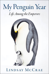 My Penguin Year - 12 Nov 2019