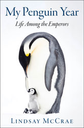 My Penguin Year - 12 Nov 2019