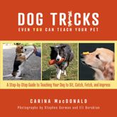 Dog Tricks Even You Can Teach Your Pet - 1 Sep 2022