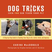 Dog Tricks Even You Can Teach Your Pet - 1 Sep 2022