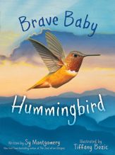 Brave Baby Hummingbird - 19 Mar 2024
