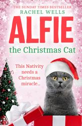 Alfie the Christmas Cat - 12 Nov 2020