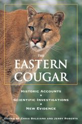 Eastern Cougar - 27 Jul 2005
