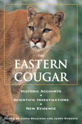 Eastern Cougar - 27 Jul 2005