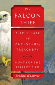 The Falcon Thief - 11 Feb 2020