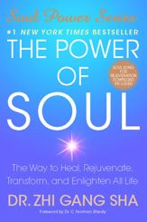 The Power of Soul - 6 Jan 2009