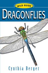 WG: Dragonflies - 10 Mar 2004